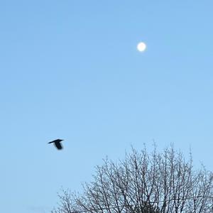 Solar Flare (Explicit)