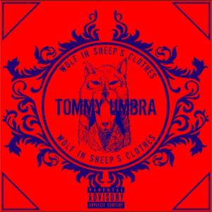 Wolf in Sheep's Clothes (Explicit)