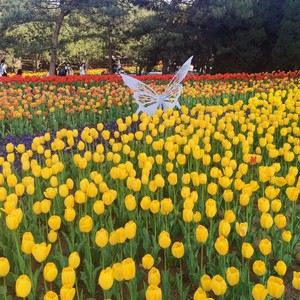 我在疫情过后的春天拥抱你 (Live)