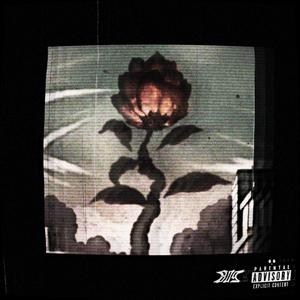 poor man's rose (feat. B A N & RIPVANN) [Explicit]