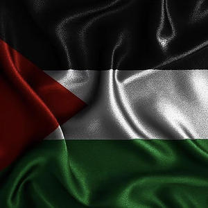 free palestine (Explicit)