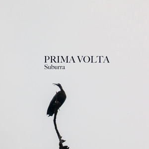 Suburra