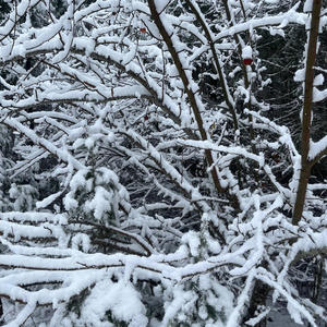 Mi old but mi nuh cold (Explicit)