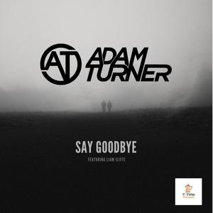 Say Goodbye (feat. Liam Iliffe)