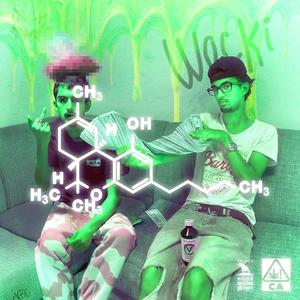 WOCK PATTERNS/C₂₁H₃₀O₂ (Explicit)