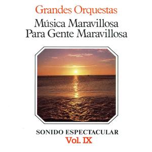 Música Maravillosa para Gente Maravillosa Grandes Orquestas Vol. IX