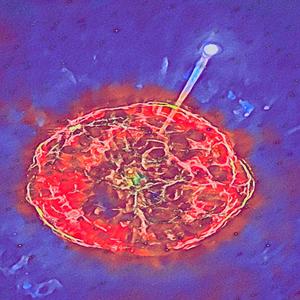 Beans, Capt.Cody, Kat, Lucy, MaryJ, Molly, SallyD, WeddingCake(Your Song)