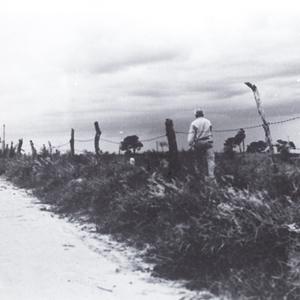 They Put Our Backs to the Wall