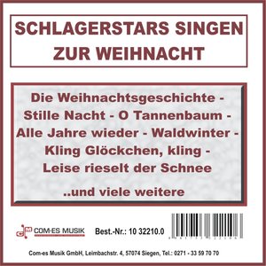Die Weihnachtsgeschichte (口白)