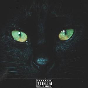 gatos en el techo (Explicit)