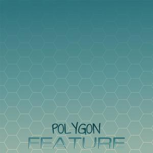 Polygon Feature