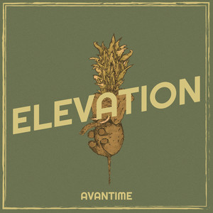 Elevation