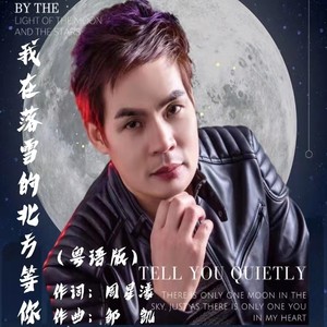 我在落雪的北方等你