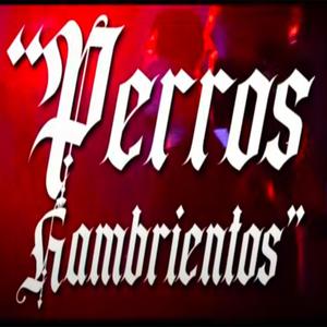 Perros Hambrientos / Dk Hardest (Explicit)