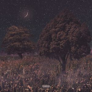 1000 шагов (Explicit)