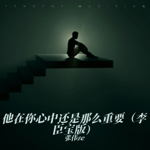 他在你心中还是那么重要 (李臣宝版)