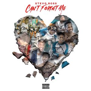 Can't Forget Me (Explicit)