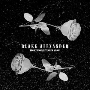 Blake Alexander - Hold Up