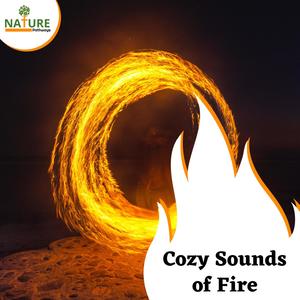 Cozy Sounds of Fire