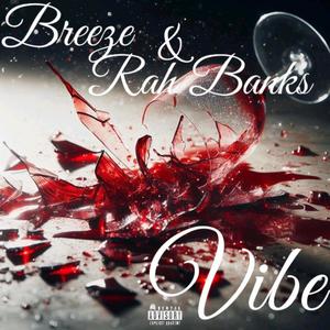 Vibe (feat. Rah Banks) (Explicit)
