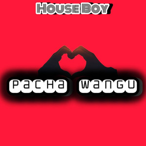 Pacha wangu