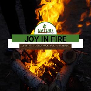 Joy in Fire - Uplifting Soundtracks for Your Senses