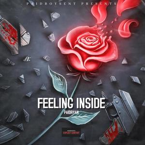 Feeling Inside (Explicit)