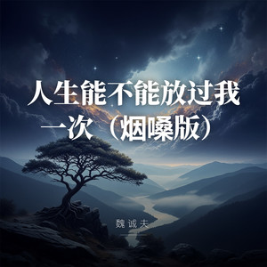 我在人来人往处流浪 (烟嗓版)封面