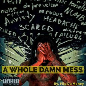 A Whole Damn Mess (Explicit)
