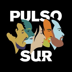 Pulso Sur