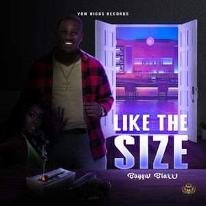 Like the Size (Explicit)