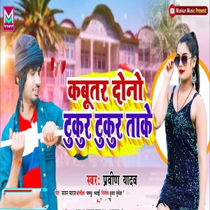 Kabutar Dunu Tukur Tukur Take