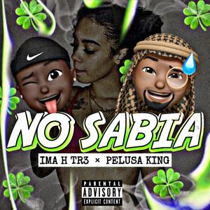 NO SABÍA (feat. PELUSA KING)