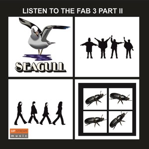 Seagull - Rock & Roll Music