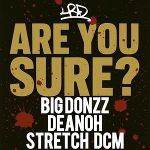 Are You Sure? (feat. Big Donzz, Deanoh & Stretch DCM) (Explicit)