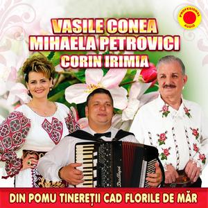 Din pomul tineretii cad florile de mar