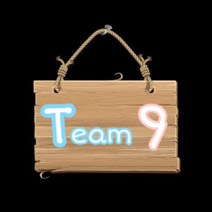 Team 9 2da Temporada