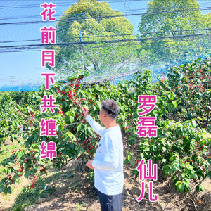 花前月下共缠绵