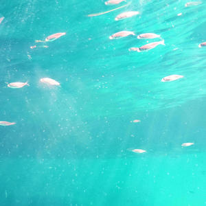 Baby don't (feat. Cruel T & Er Gad) (Explicit)