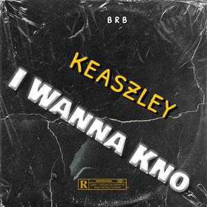 I Wanna Kno (Explicit)