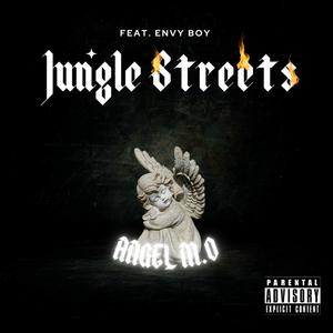 Jungle Streets (feat. Envy Boy) [Explicit]