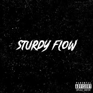 Sturdy Flow (Explicit)