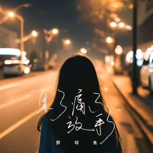 累了痛了放手了 (DJ彭锐版)封面