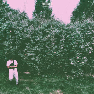 5 STVR STRIK3R (Explicit)