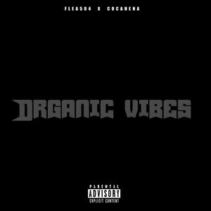 Organic Vibes (Explicit)