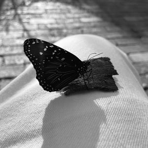 On & Off (feat. DREW TRAVEIL) (Slowed + Reverb) (Explicit)