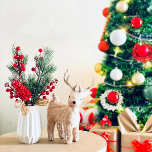 Telah Lahir Sebagai Anak Tukang Kayu