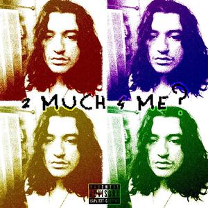 2 much 4 me? (Explicit)