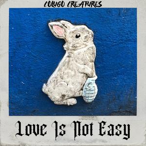 Love Is Not Easy
