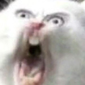 孤独患者 (COVER版)